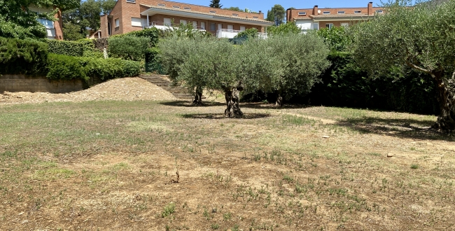 PARCEL.LA CANTONERA A PALAU GIRONA