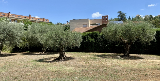 PARCEL.LA CANTONERA A PALAU GIRONA