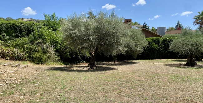 PARCEL.LA CANTONERA A PALAU GIRONA