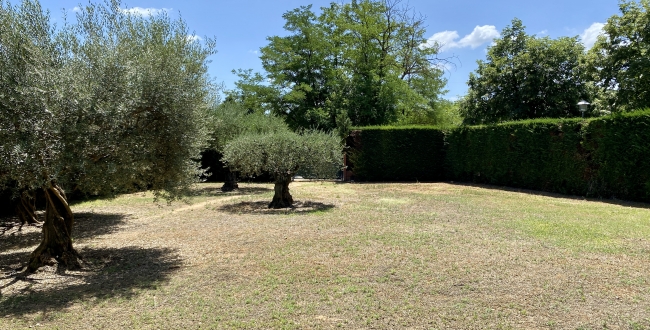 PARCEL.LA CANTONERA A PALAU GIRONA