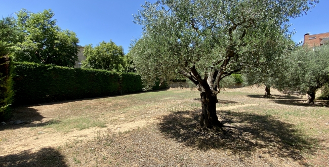 PARCEL.LA CANTONERA A PALAU GIRONA