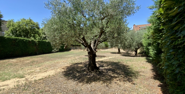 PARCEL.LA CANTONERA A PALAU GIRONA