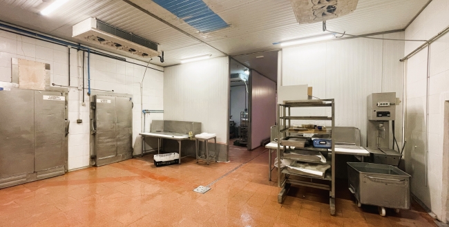 NAU INDUSTRIAL AMB MOLLS DE CARGA EN VENDA A MAS XIRGU - GIRONA