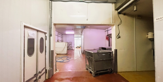 NAU INDUSTRIAL AMB MOLLS DE CARGA EN VENDA A MAS XIRGU - GIRONA