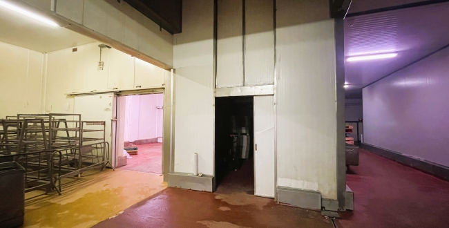 NAU INDUSTRIAL AMB MOLLS DE CARGA EN VENDA A MAS XIRGU - GIRONA