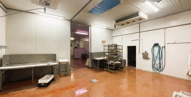 NAU INDUSTRIAL AMB MOLLS DE CARGA EN VENDA A MAS XIRGU - GIRONA