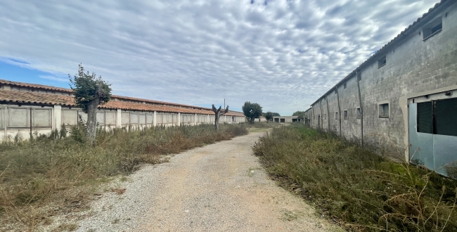 FINCA CATALOGADA COM A MASIA I INSTAL·LACIÓ RURAL AMB 10 HA DE TERRENY A BESCANÓ - GIRONA