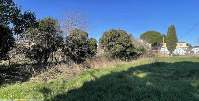 PARCEL·LES VENDA EN CORÇÀ