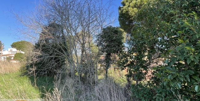 PARCEL·LES VENDA EN CORÇÀ