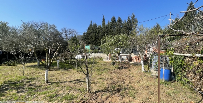 TERRENY RÚSTIC AMB BARRACA A PUIGVENTÓS (CRUÏLLES)