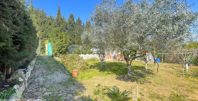 TERRENY RÚSTIC AMB BARRACA A PUIGVENTÓS (CRUÏLLES)